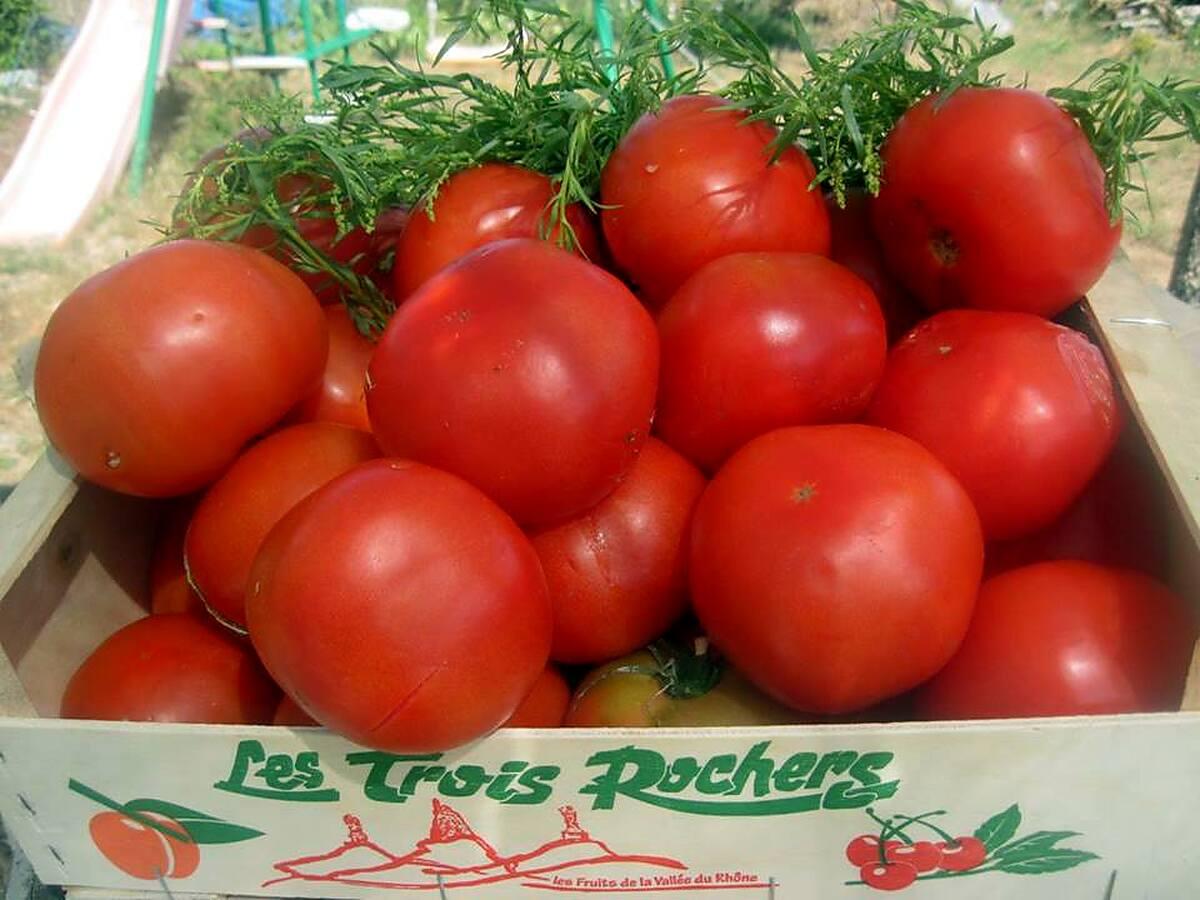 recette Sauce tomates à la sarriette.