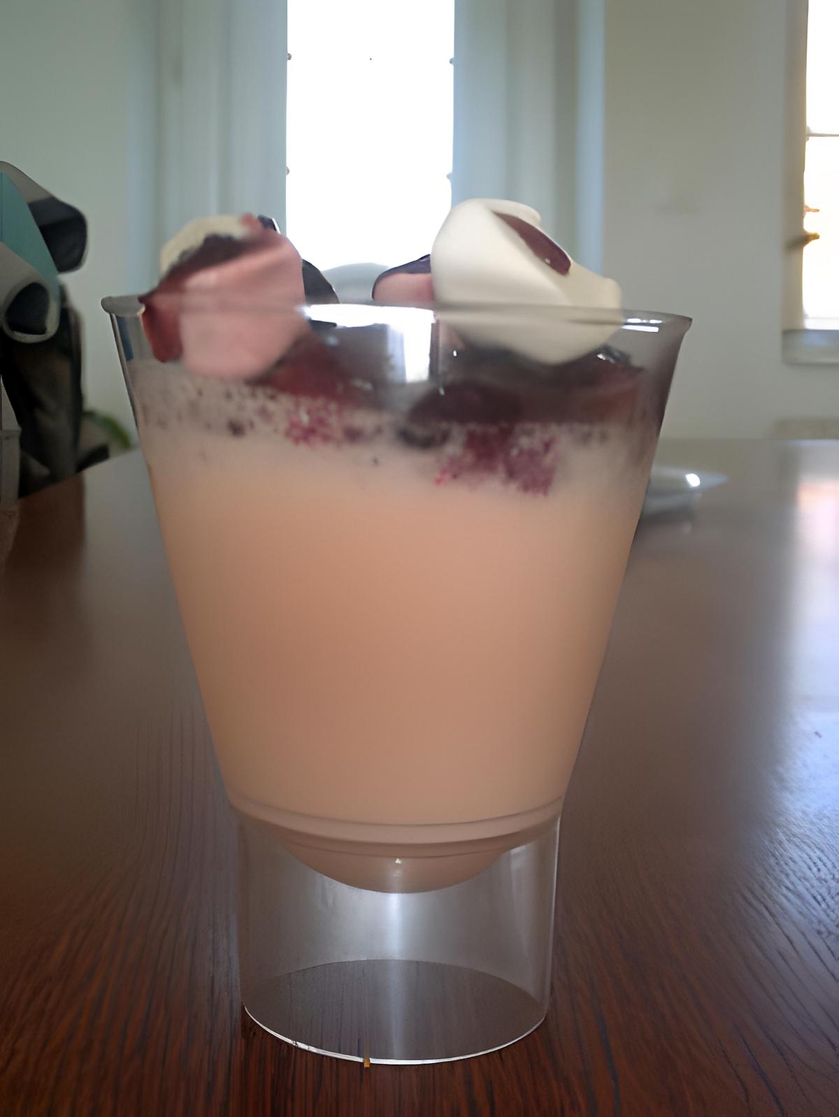 recette PANNA COTTA AUX CHAMALLOWS ET AUX FRAMBOISES