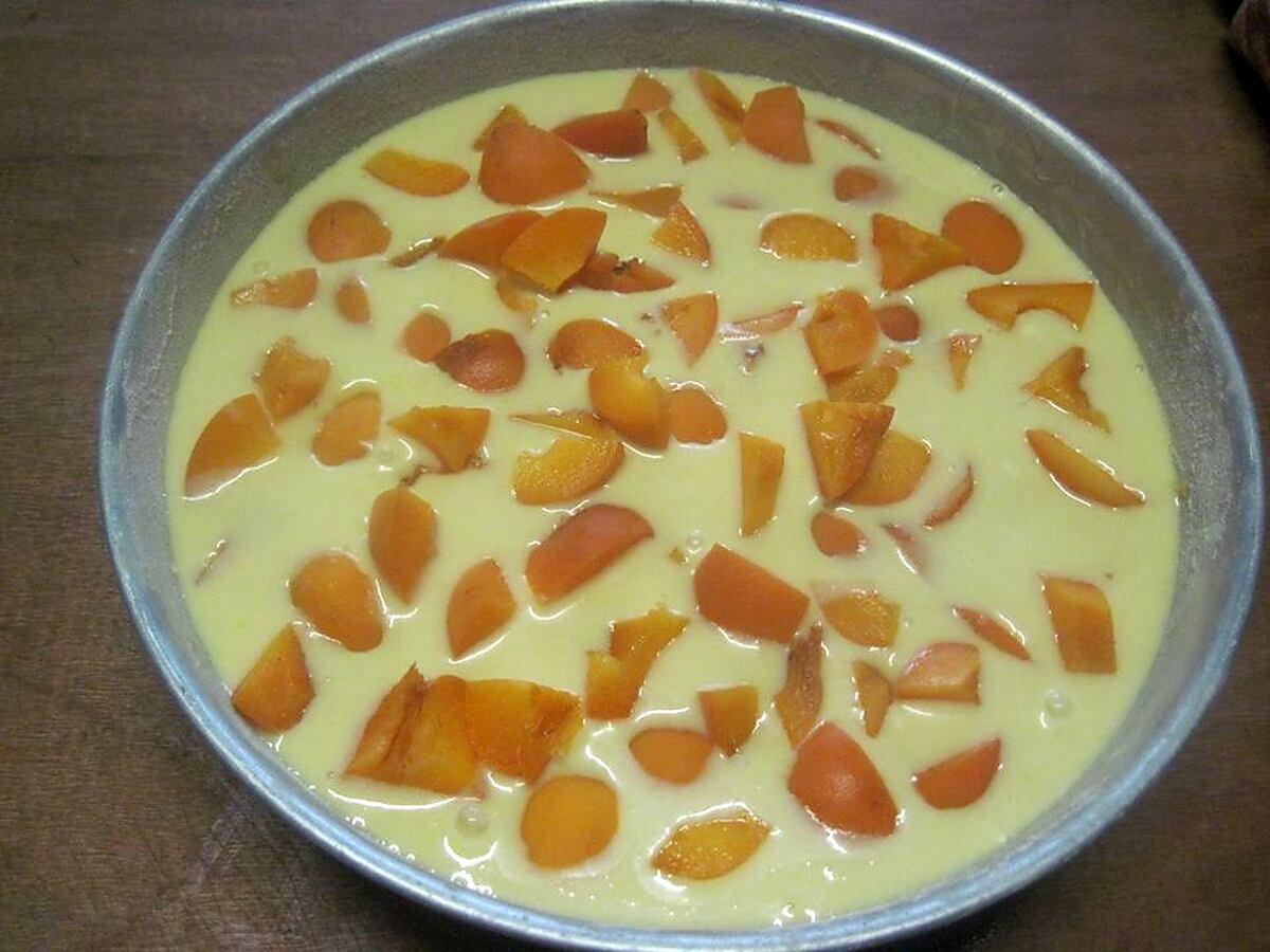 recette Clafoutis aux abricots.