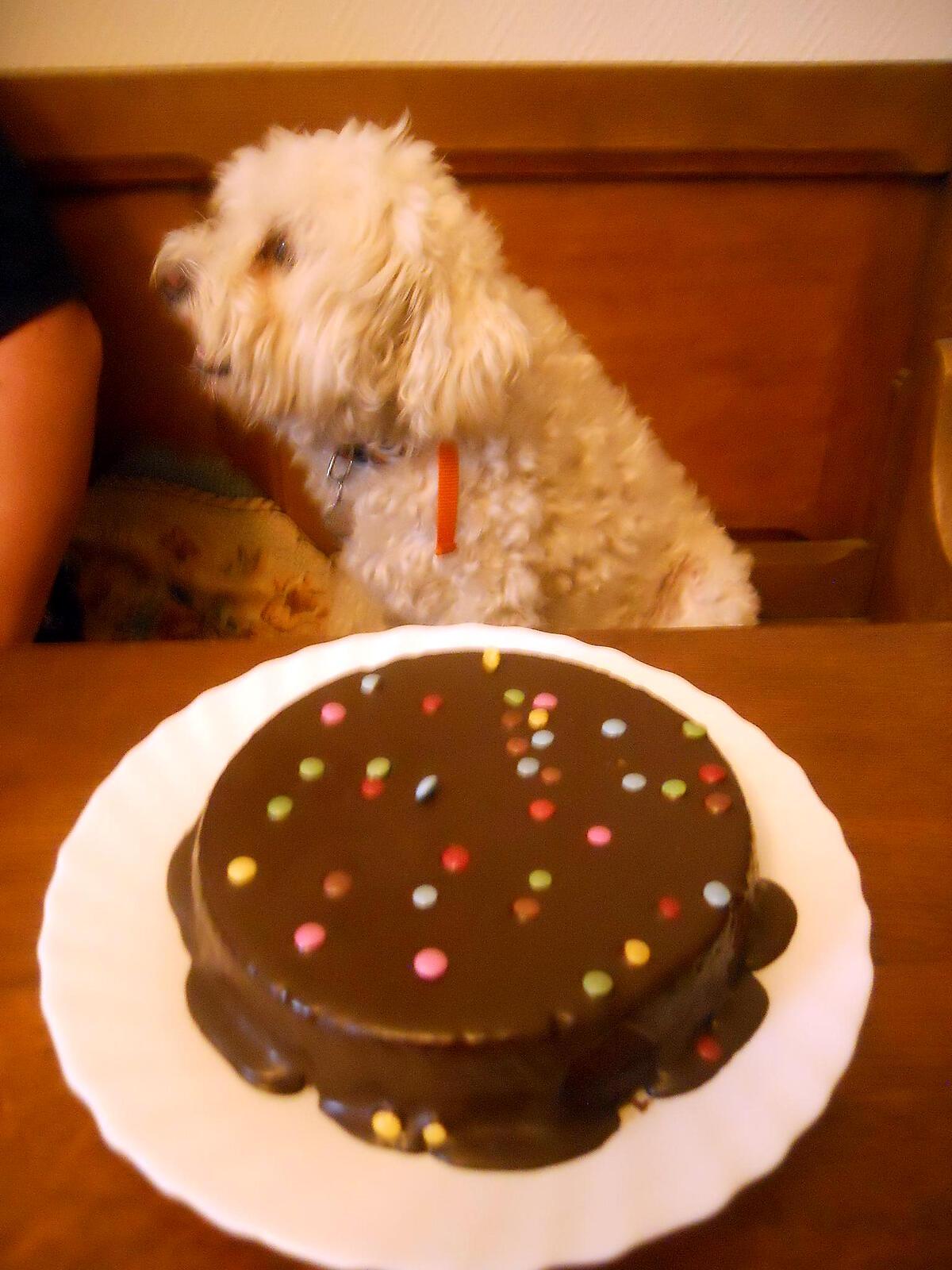 recette GÂTEAU AU CHOCOLAT DE ZIA