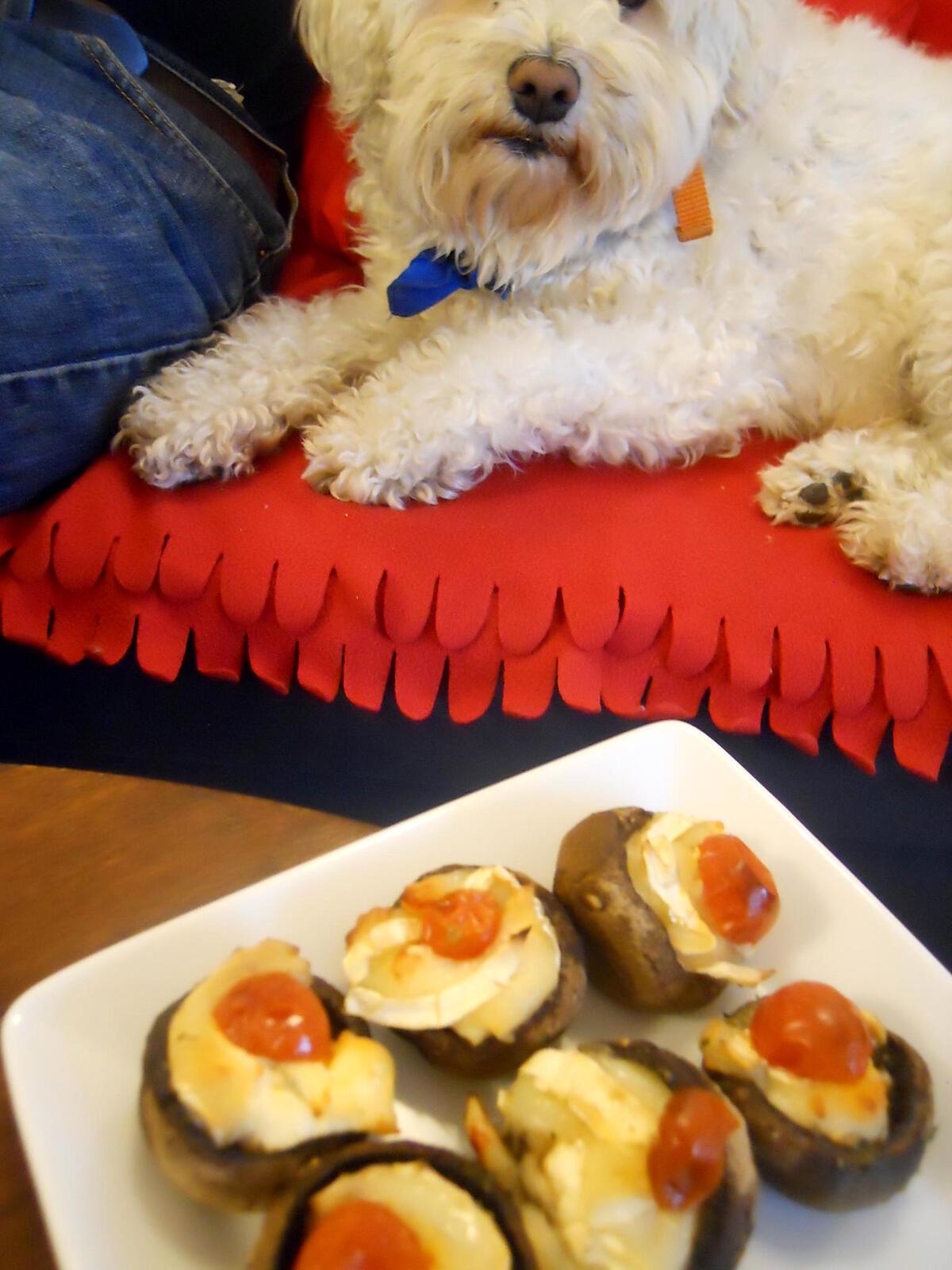 recette CHAMPIGNONS APERO