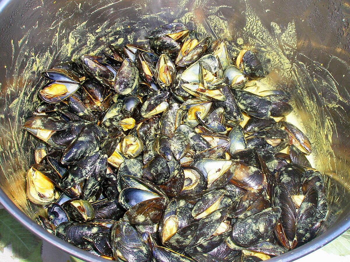 recette Moules au curry