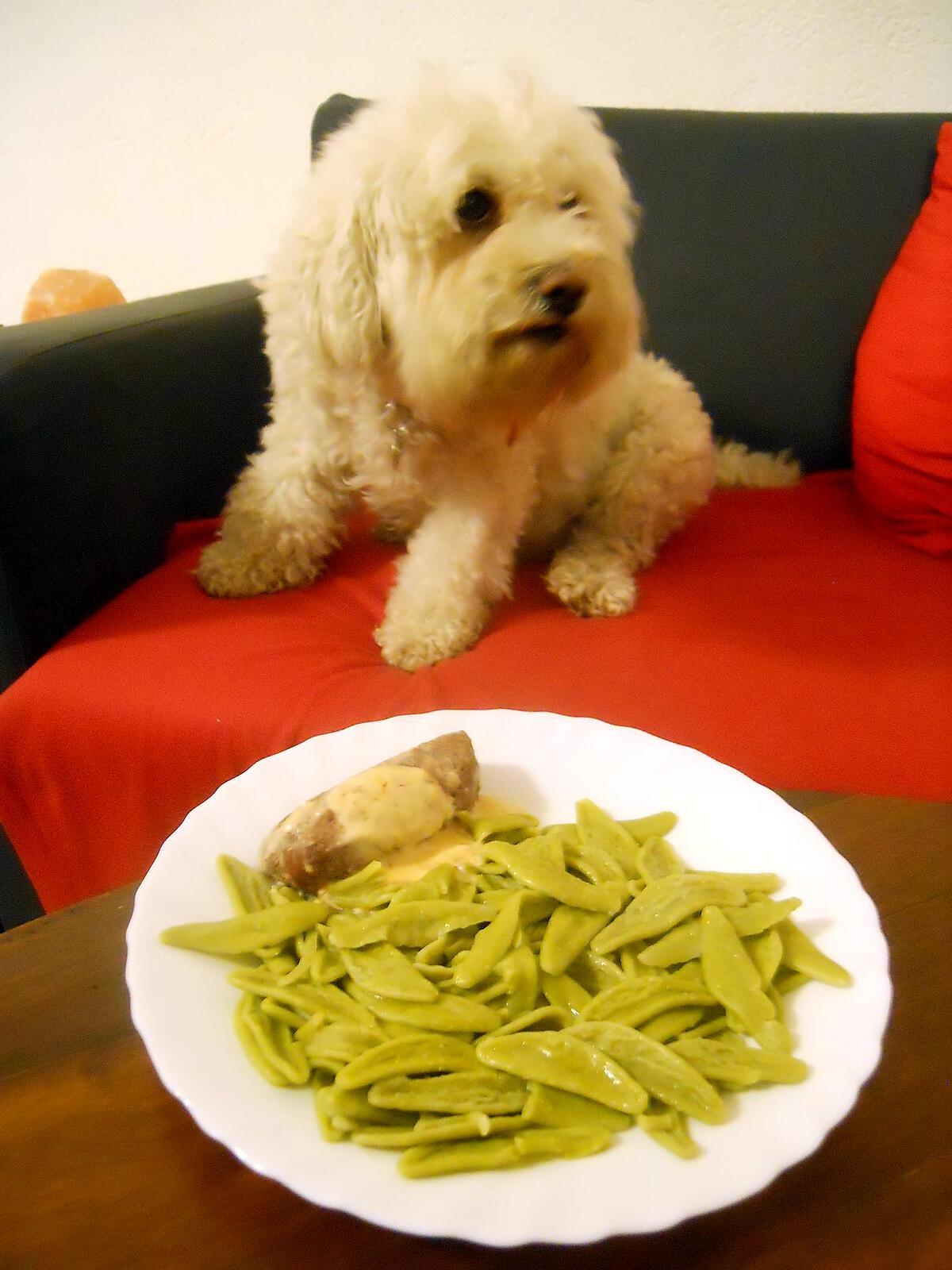 recette PAVE D'AUTRUCHE A LA SAUCE AU PARMESAN