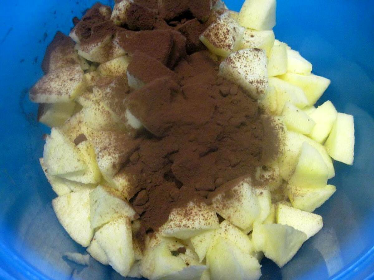 recette Compote de pommes au chocolat et miel.micro-ondes.