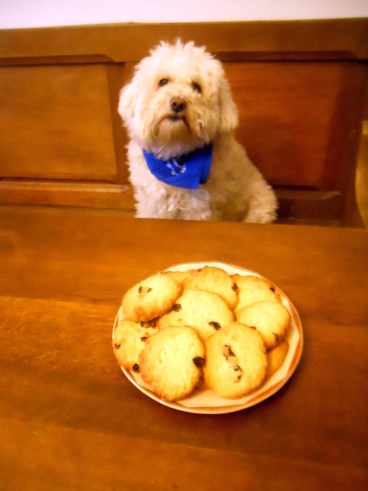 recette COOKIES AUX CRANBERRYS DE "NOTRE AMOUR DE CUISINE ET DE OH LA GOURMANDE"