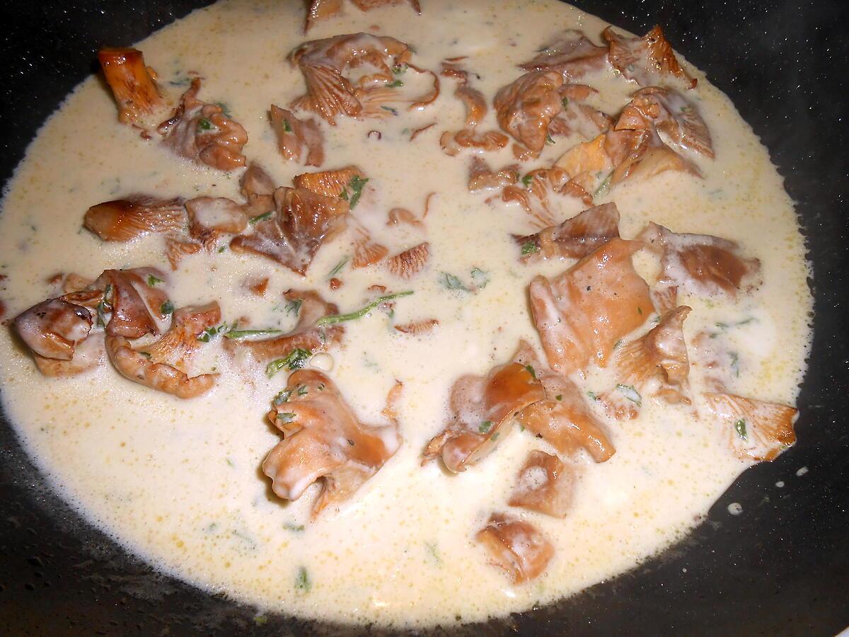 recette FRICASSEE DE COQUELET AUX GIROLLES