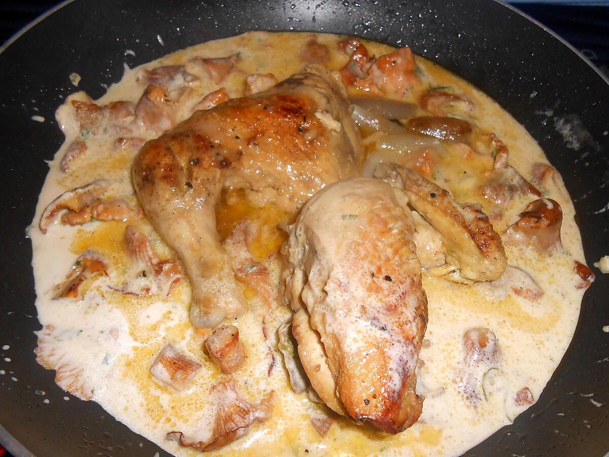 recette FRICASSEE DE COQUELET AUX GIROLLES