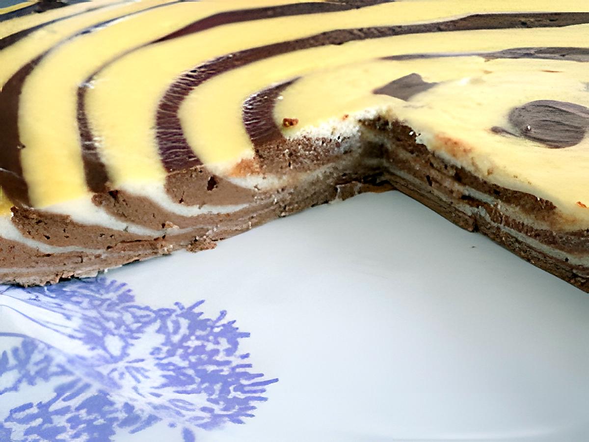 recette Cheesecake zébré choco/vanille (régime dukan)
