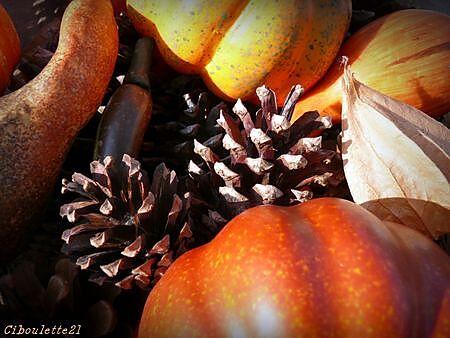 recette VELOUTE DE POTIMARRON ET ECLATS DE MARRONS