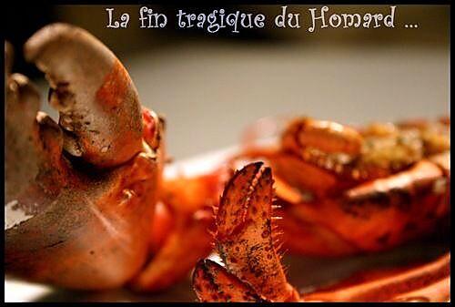 recette **Homard rôti au four , beurre citronné et fenouil confit **