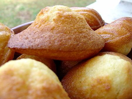 recette les madeleines de Christophe Felder