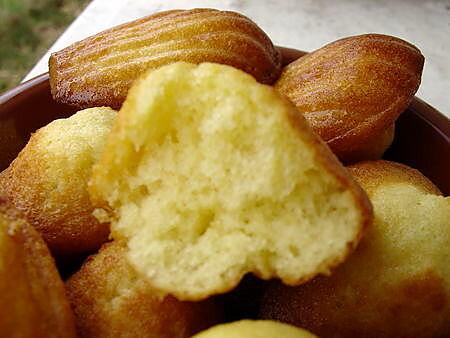 recette les madeleines de Christophe Felder