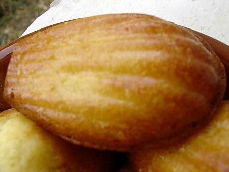 recette les madeleines de Christophe Felder