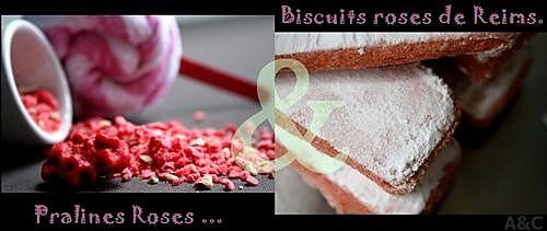 recette ** Mini cheese-cake léger rose & vert: biscuits roses de Reims, pralines roses et miroir de kiwi **