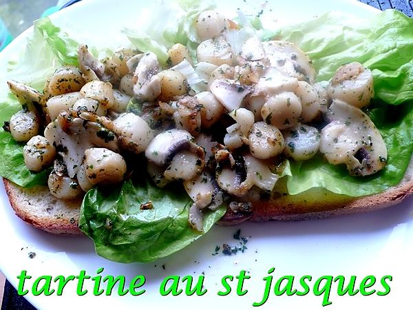 recette tartine au st jacque