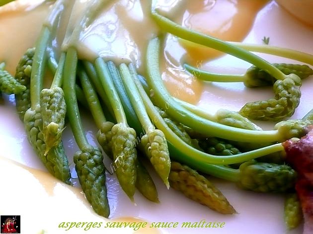 recette asperges sauvage sauce maltaise