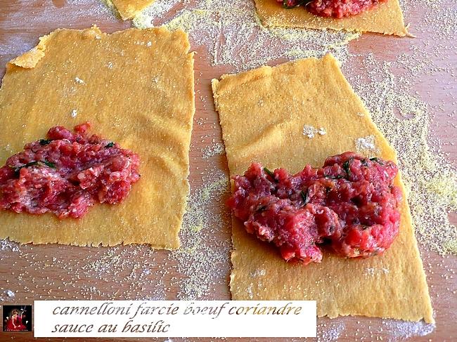 recette cannelloni farcie boeuf coriande, sauce basilic