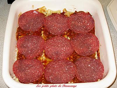 recette Lasagne sauce tomate et coriandre de Kat