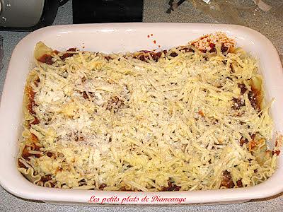 recette Lasagne sauce tomate et coriandre de Kat