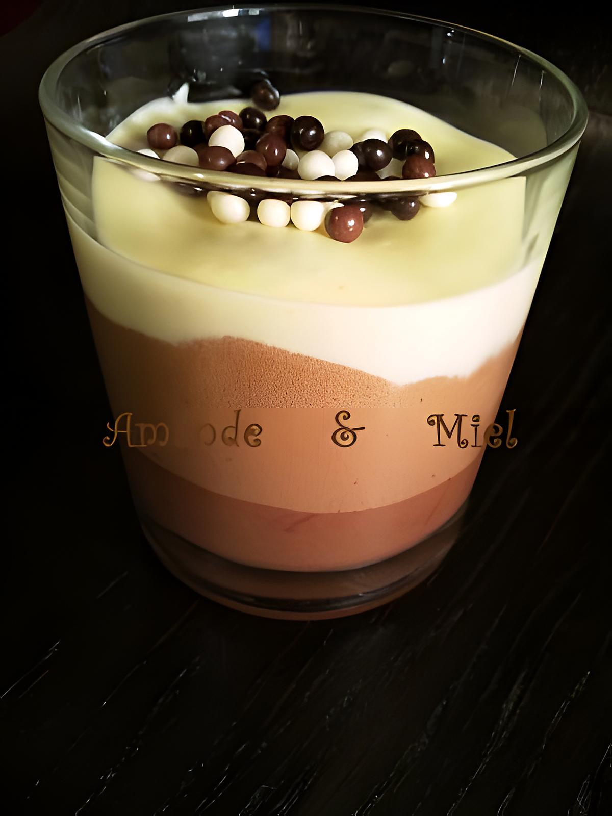 recette MOUSSE AUX TROIS CHOCOLATS