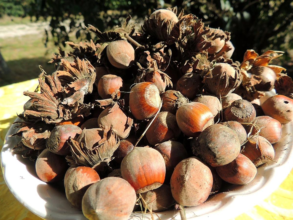 recette Fudge aux noisettes