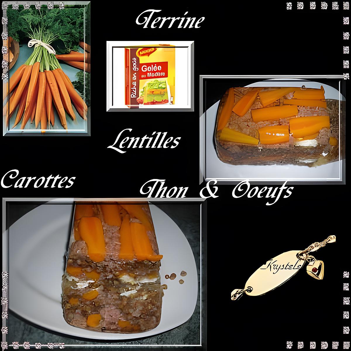 recette terrine au thon et lentilles