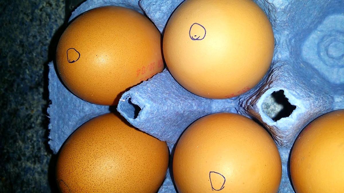recette Gateaux tricolores dans des œufs de Pâques
