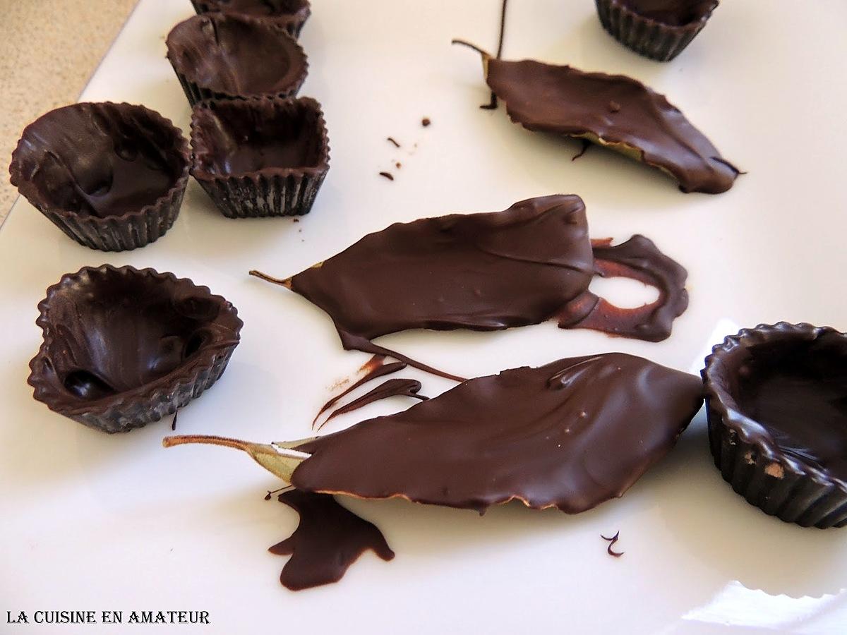 recette Feuilles en chocolat