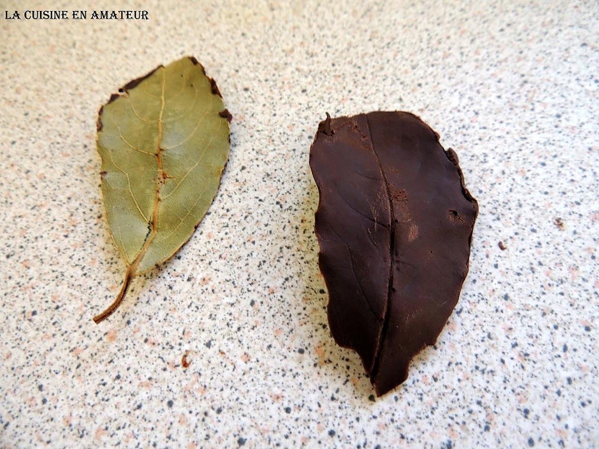 recette Feuilles en chocolat