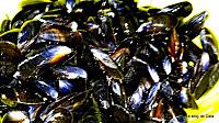 recette Moules au curry