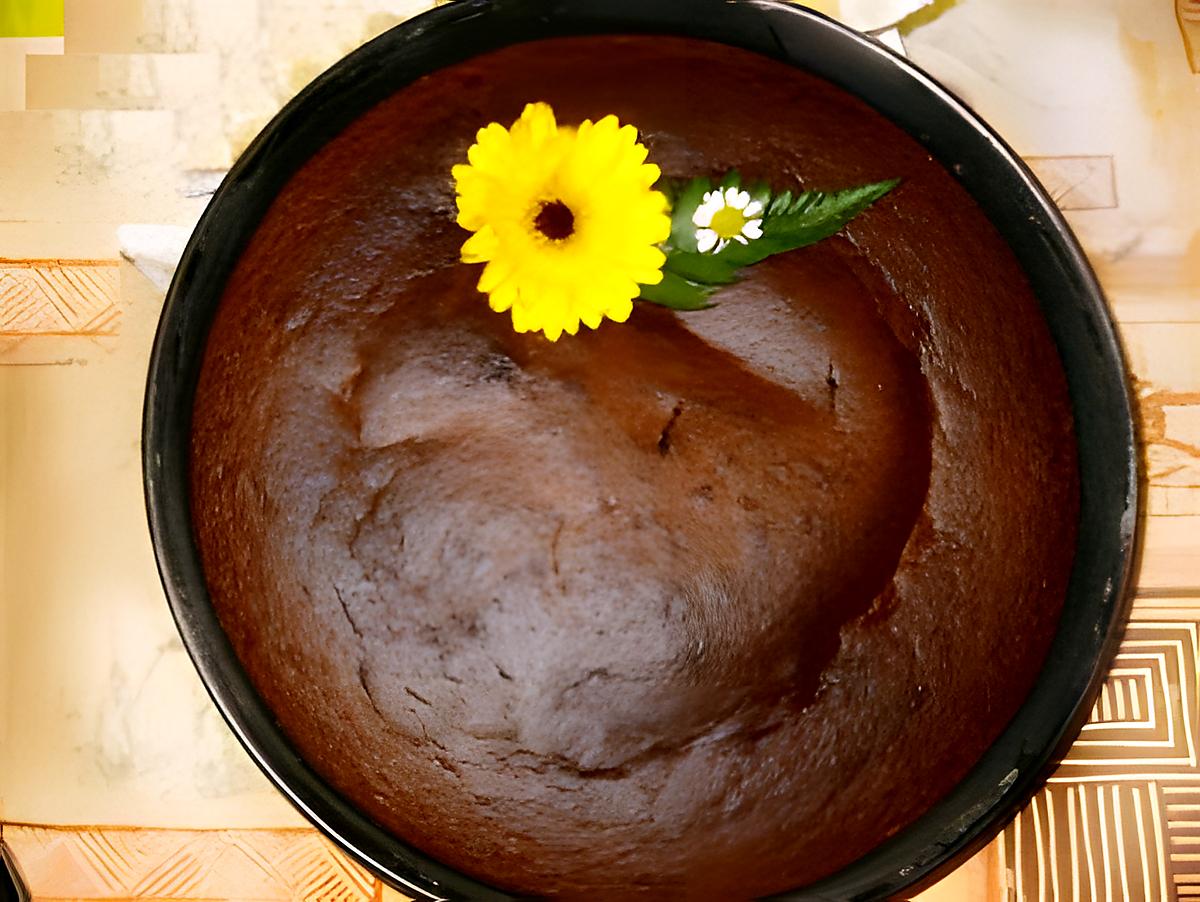 recette moelleu aux chocolat rapide