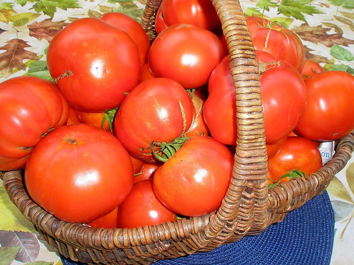 recette Tarte à la tomate et au cantal