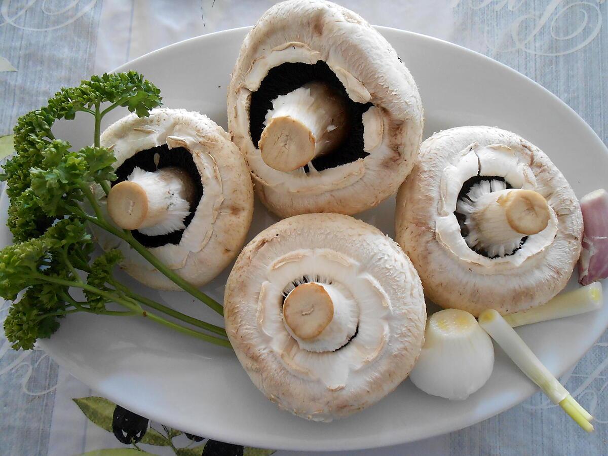 recette CHAMPIGNONS FARCIS VIANDE ET CREME DE CHEVRE