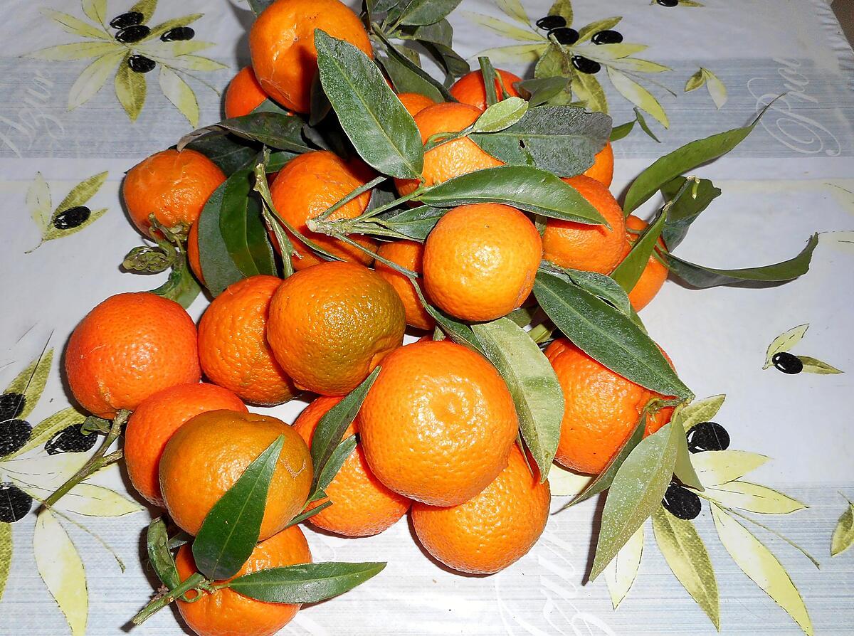 recette LAPIN EPICE AUX CLEMENTINES