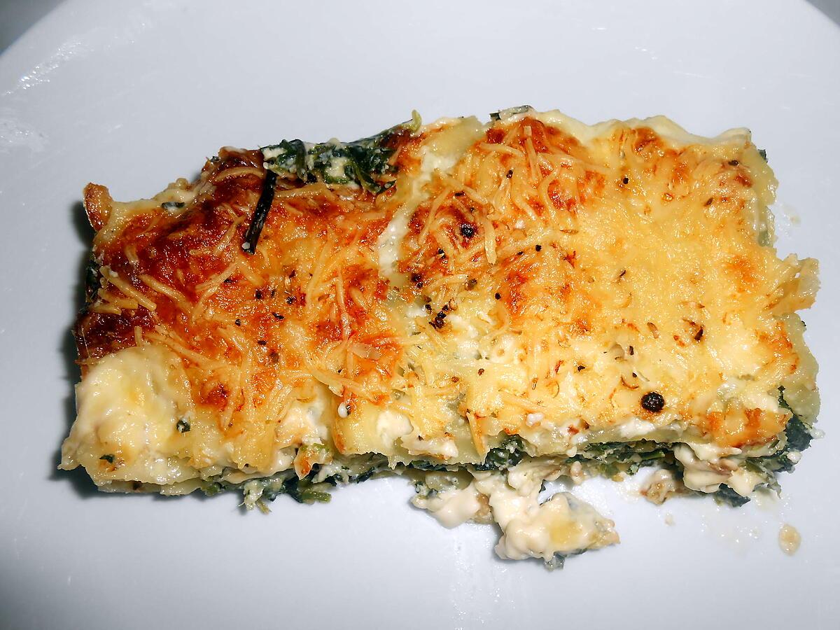 recette LASAGNE BLETTES SAUVAGES ET BROCCIU