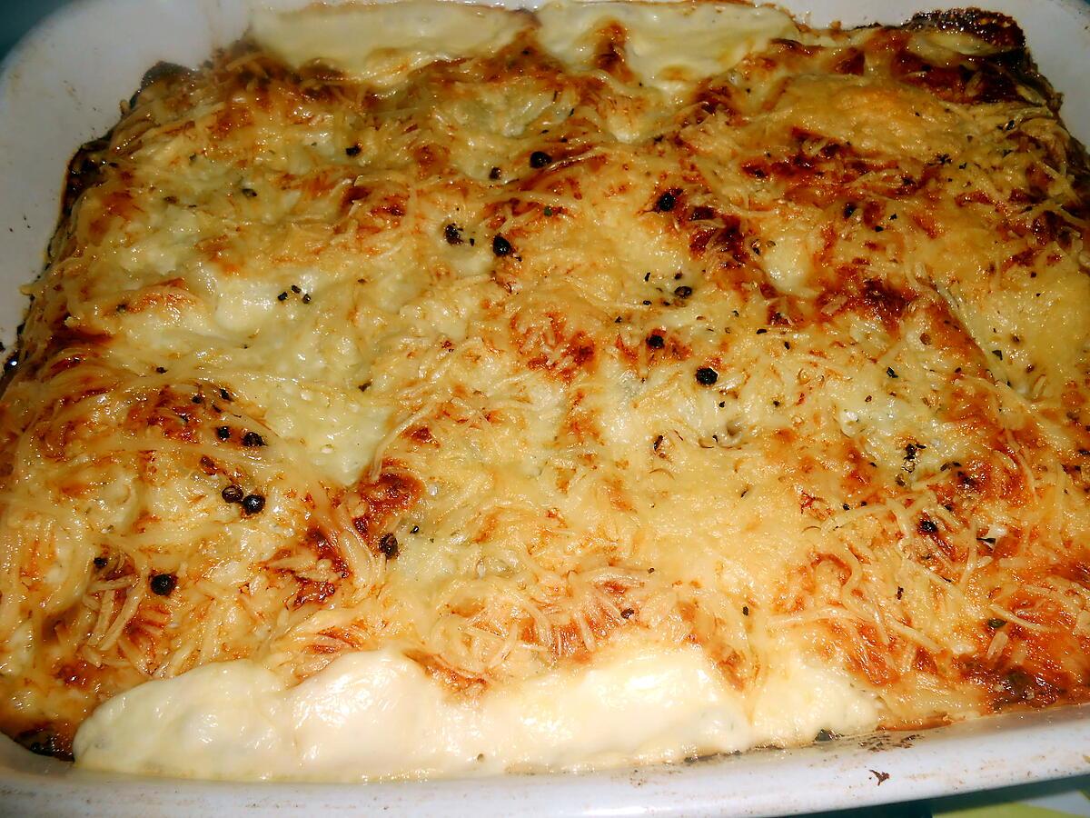 recette LASAGNE BLETTES SAUVAGES ET BROCCIU