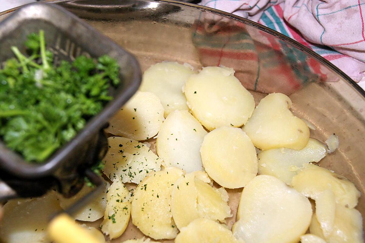 recette Gratin de poisson au chou fleur et champignons