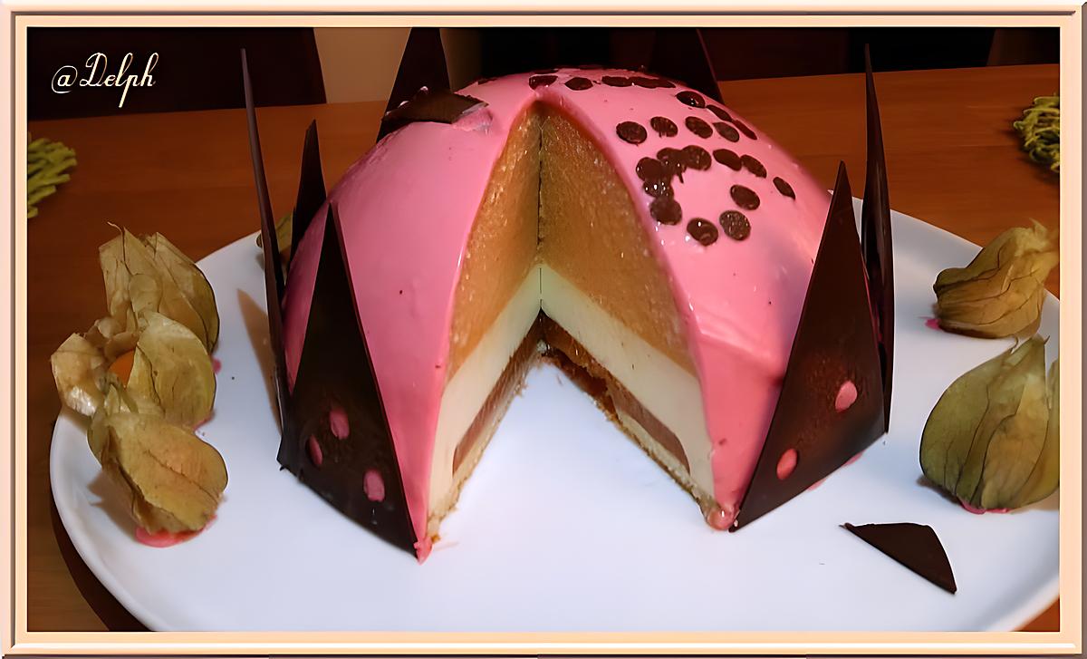 recette Entremet Abricot - Vanille