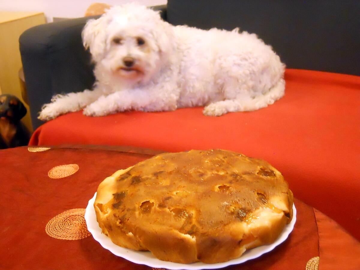 recette gateaux aux deux abricots