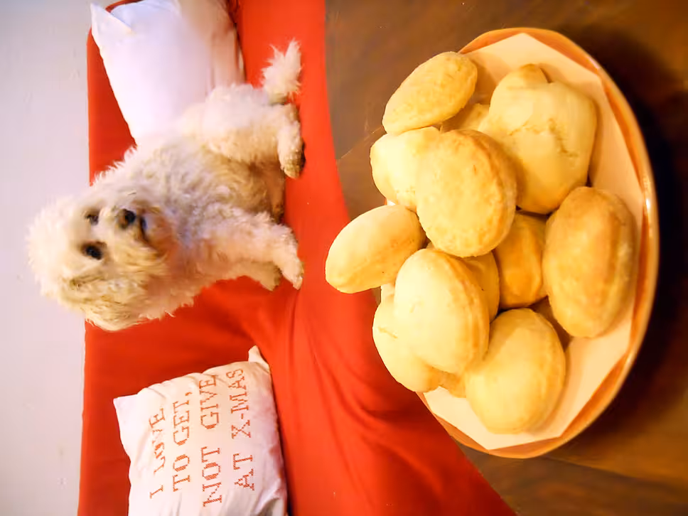 recette PETITS PAINS DU DIMANCHE MATIN