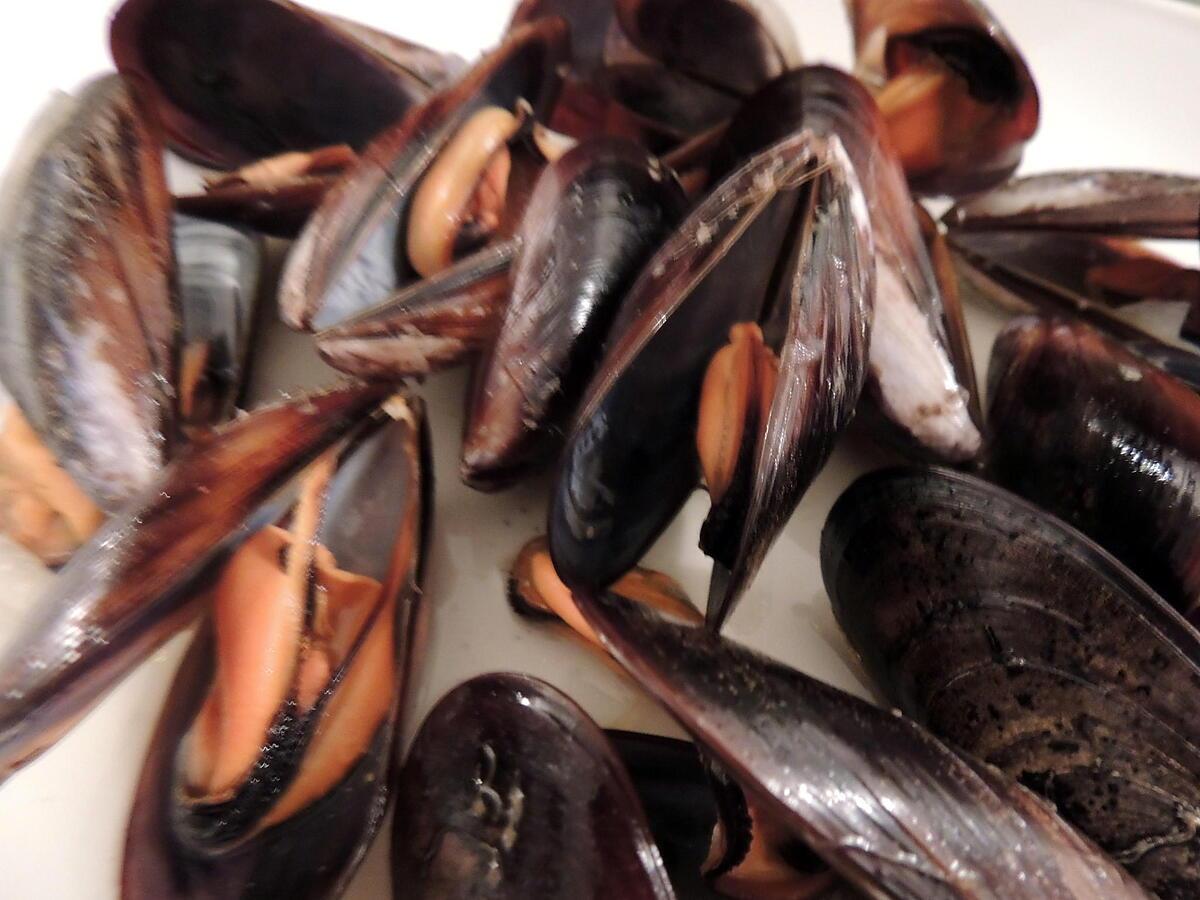 recette Moules marinières