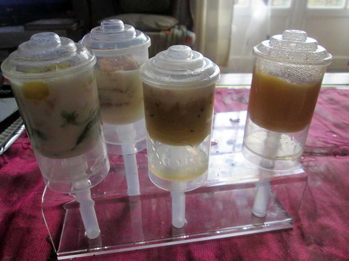 Recette de Desserts push up cakes pops par hanor