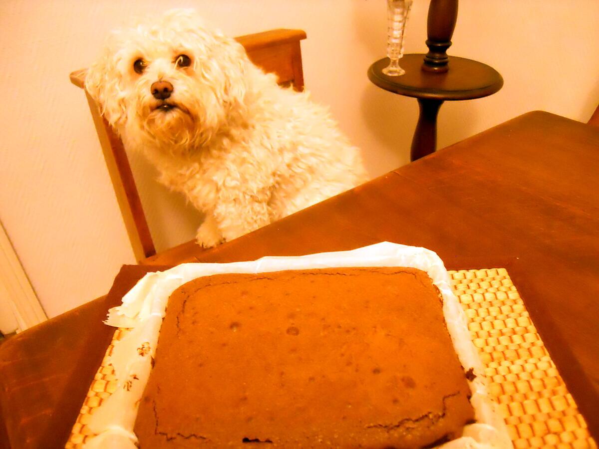 recette BROWNIE AU CHOCOLAT DE PACÔME