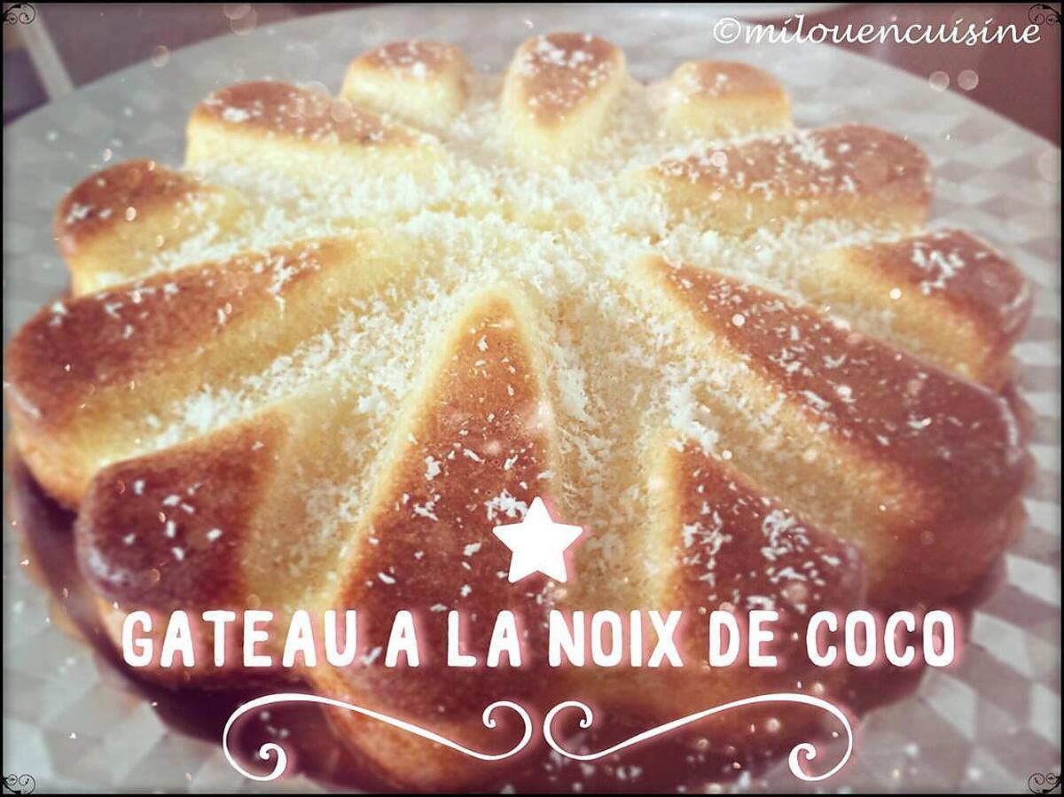 recette Gâteau à la noix de coco léger facile et rapide