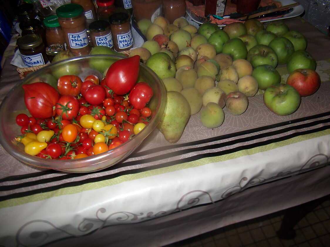 Tomates farcies a l oeuf, erreur photo!!!