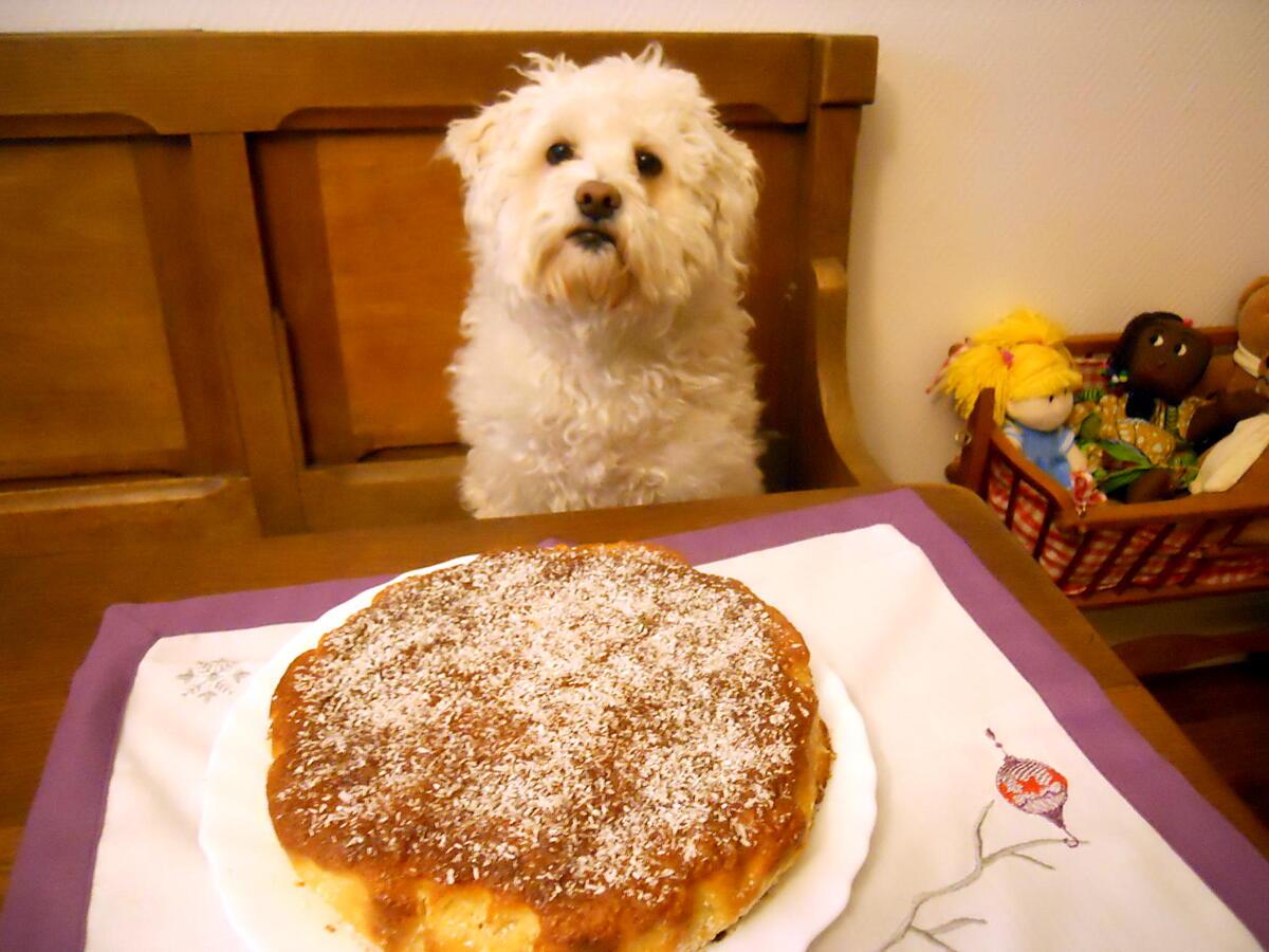 recette GÂTEAU CITRON-COCO