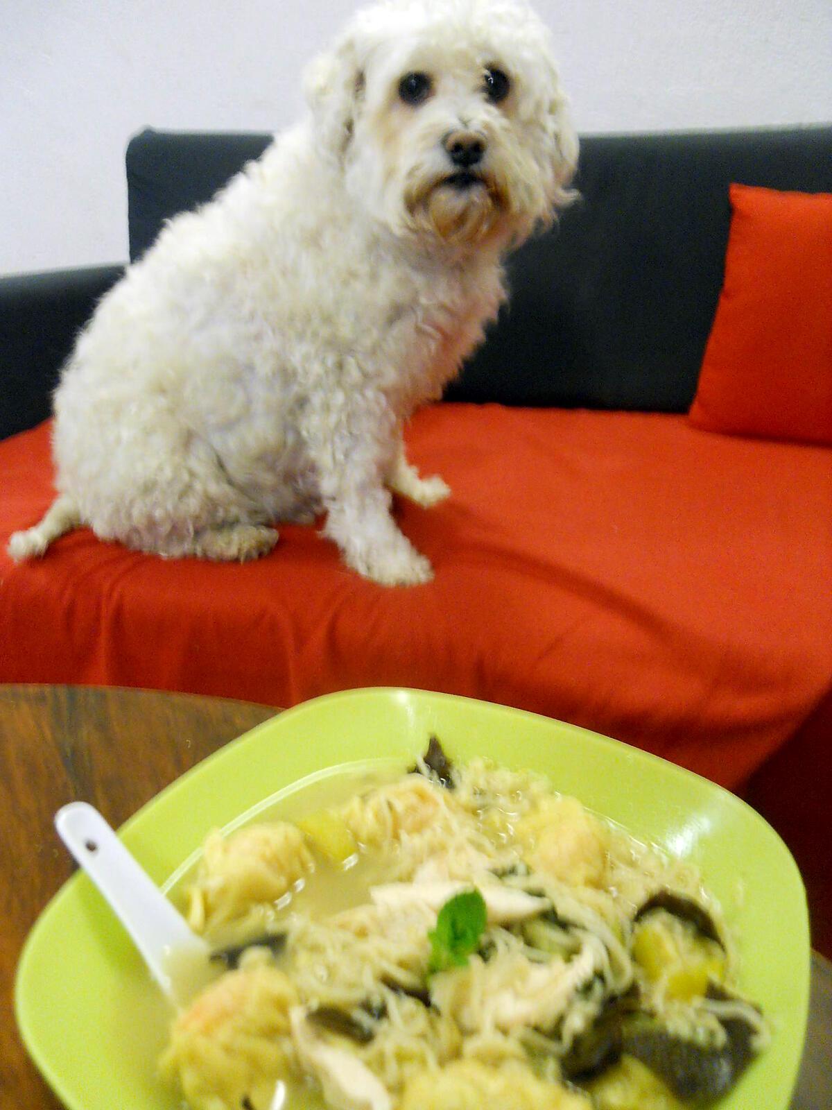 recette SOUPE CHINOISE AVEC RAVIOLI AUX CREVETTES