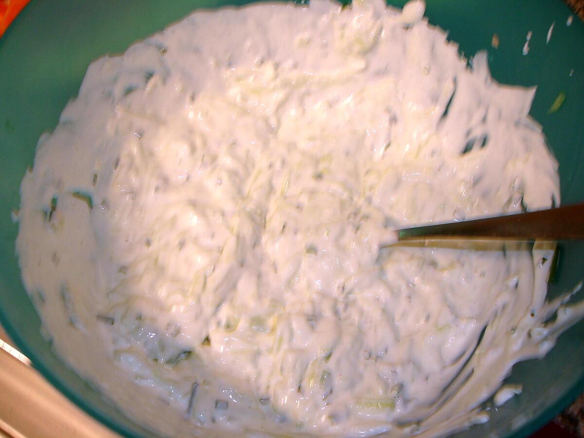 recette Ma Sauce  Tzatziki