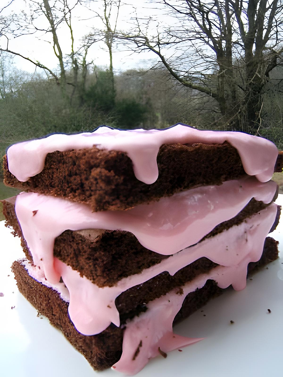 recette Pink and Brown Cake