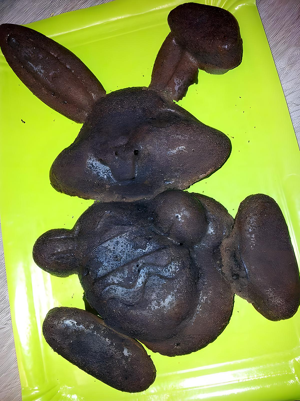 recette Gâteau Lapin en chocolat